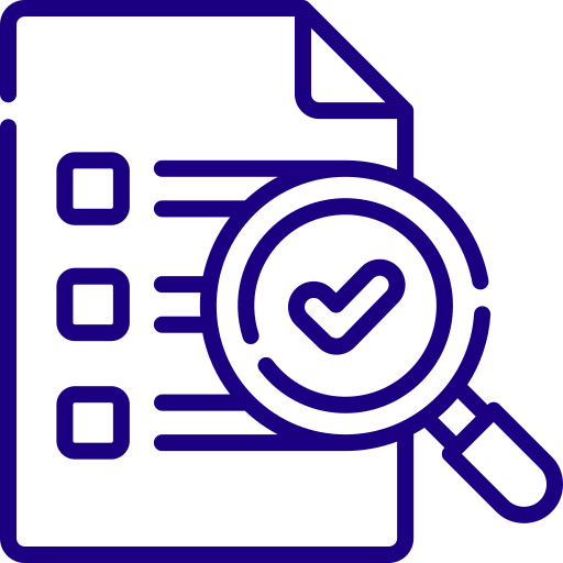 Web Audit Practices